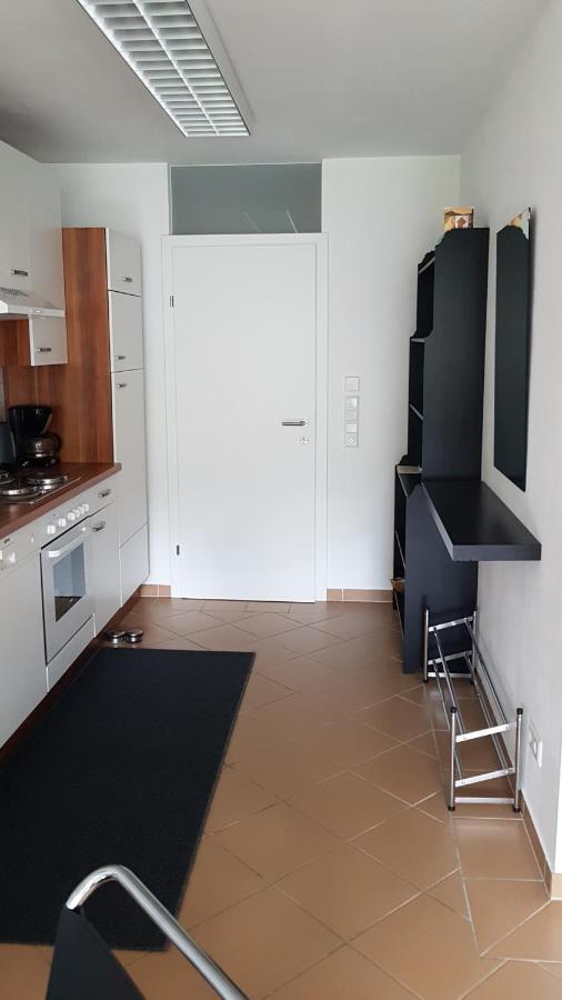 Apartment Familie Gruenauer ザンクト・ヨーハン・イム・ポンガウ エクステリア 写真