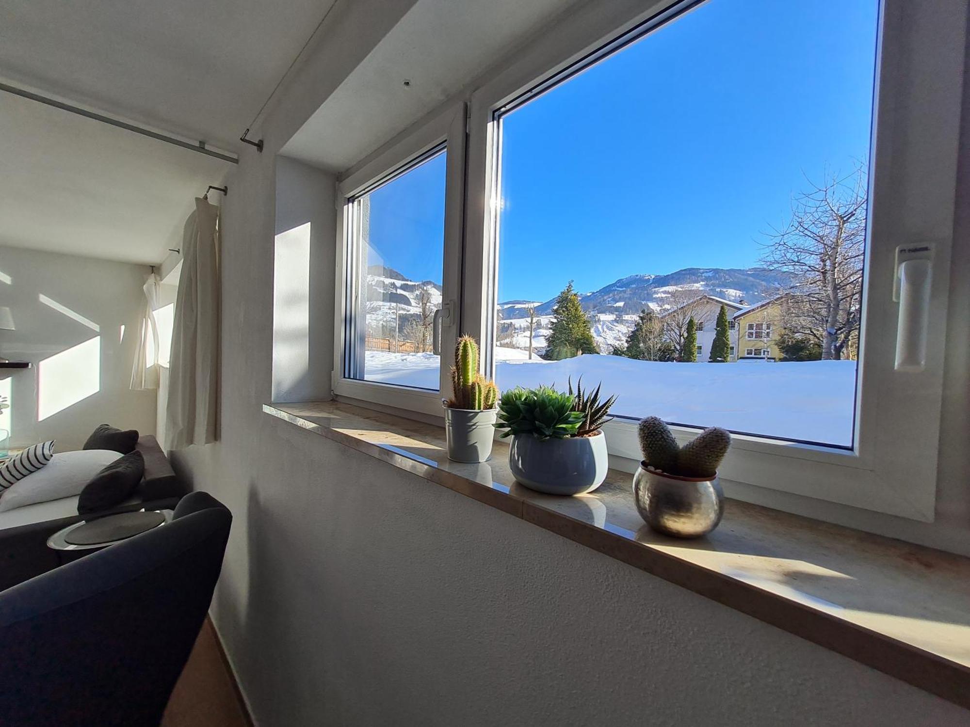 Apartment Familie Gruenauer ザンクト・ヨーハン・イム・ポンガウ エクステリア 写真